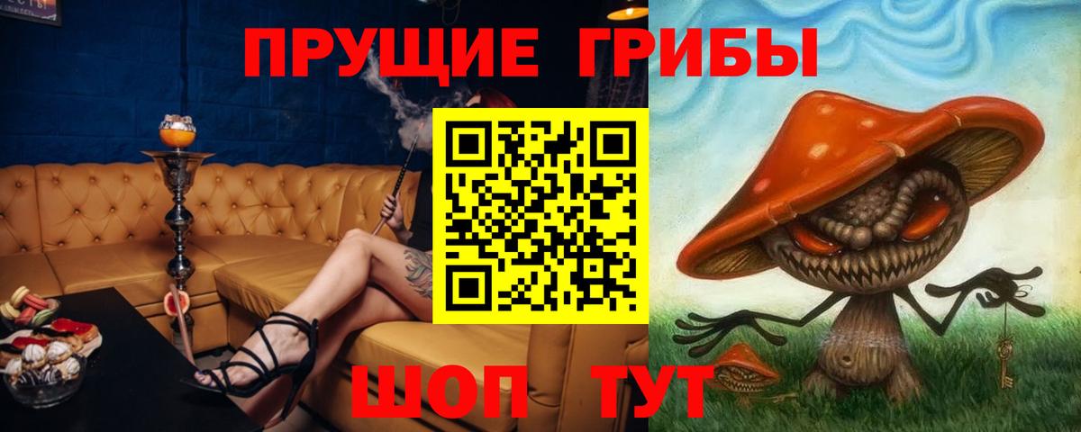 Галлюциногенные грибы Psilocybine cubensis Самара